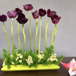 Purple flowers on tall stems in a lime green rectangular vase