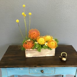 Gold Bloom