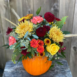 Mixed bouquet in an orange pumpkin container with yellow, red, and pink blooms