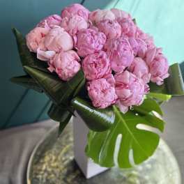 Pink peonies arranged in a white box with tropical leaves