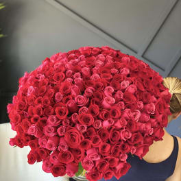 Large bouquet of red and pink roses held by a person