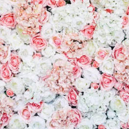 Wall of pink and white roses and hydrangeas