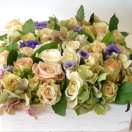 Pastel Box