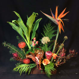 Tropical floral arrangement with orange bird of paradise and red blooms in a low container