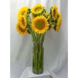 Sunflowers arranged in a clear glass vase