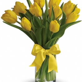 Yellow tulips in a clear glass vase with a yellow ribbon