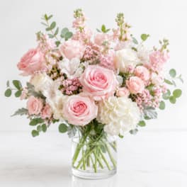 Blush Pinks