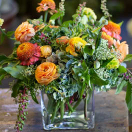 Wild Summer Garden