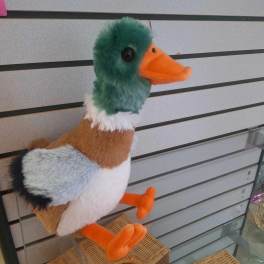 Plush duck toy with green head and orange beak sitting on a shelf.