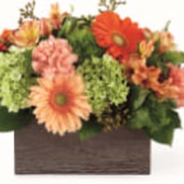 Mixed orange and pink flowers in a rectangular wooden container