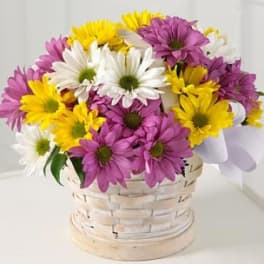 Basket of purple, yellow, and white daisies