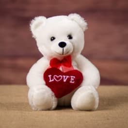 10" WHITE BEAR WITH LOVE HEART
