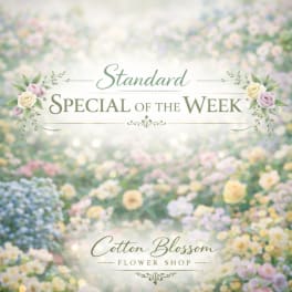 Promotional floral graphic with pastel flowers and the text "Standard Special of the Week"