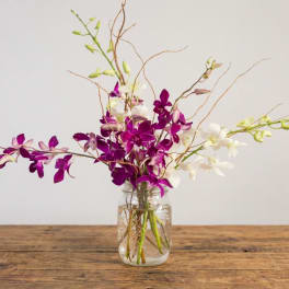 Purple and white orchids in a clear glass jar vase
