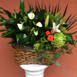 Basket arrangement with white calla lilies, orange roses, and green blooms