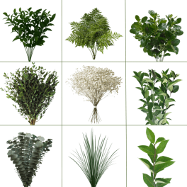 Collage of assorted green foliage stems and white baby's breath bunches