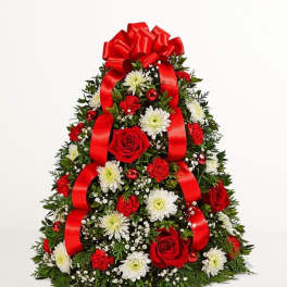 Holiday Boxwood Tree