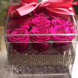 Clear gift box with hot pink roses and a satin bow