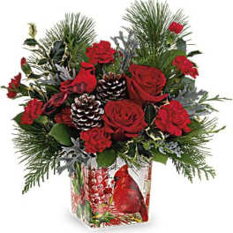 Red roses and carnations in a holiday vase with pinecones and evergreen