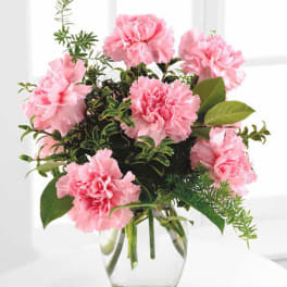 Pink carnations arranged in a clear glass vase