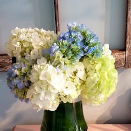Blue, white, and green hydrangeas in a dark glass vase