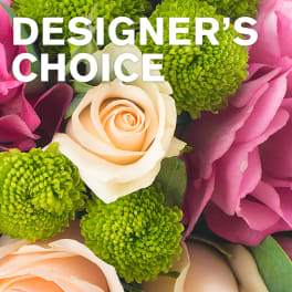 Close-up bouquet of cream roses and green pom flowers with pink petals