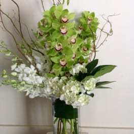 Green and white orchid arrangement in a tall glass vase