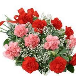 Bouquet of red and pink carnations with baby's breath