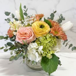 THE PASTEL JASMINE