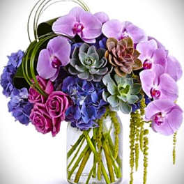 Purple orchids and succulents arranged in a glass vase