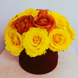 Yellow and orange roses arranged in a round box