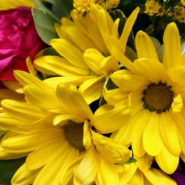 Close-up bouquet of yellow daisies with a pink rose