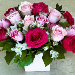 Pink and red roses arranged in a white vase