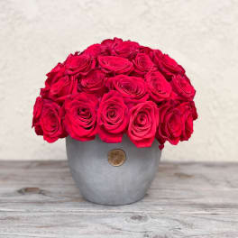 Round bouquet of bright pink roses in a gray vase