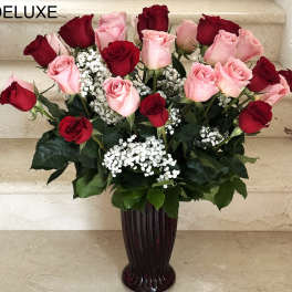 Red and pink roses arranged in a tall vase with white filler flowers