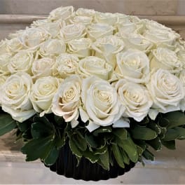 Low round arrangement of tightly clustered white roses in a black container