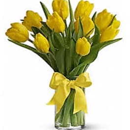Vase of bright yellow tulips tied with a yellow bow