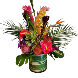 Large Tropical arrangement