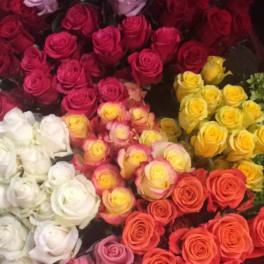 Assorted roses in white, pink, red, and yellow clustered together