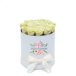Box of pale yellow roses with a white ribbon