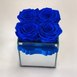 Four blue roses arranged in a square glass vase