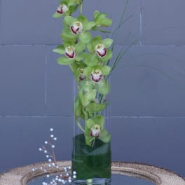 Green orchids arranged in a tall glass vase with decorative berries