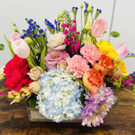 Blooming Garden