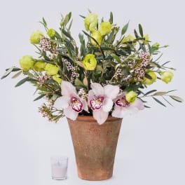 Potted floral arrangement with pale orchids and lime-green blooms
