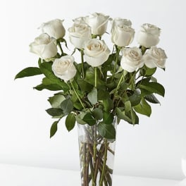 Dozen Long Stem White Roses by BloomNation™