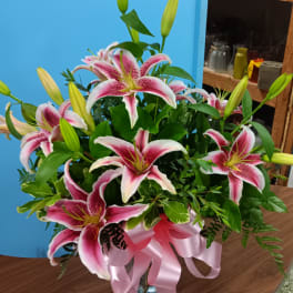 Pink stargazer lilies arranged in a glass vase with a pink ribbon