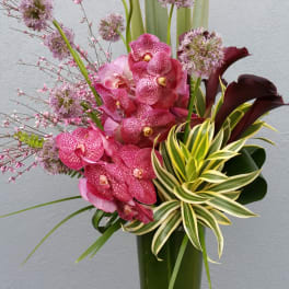 Pink orchids and purple allium in a tall glass vase