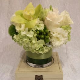 Green and white floral arrangement in a round box on a wooden base