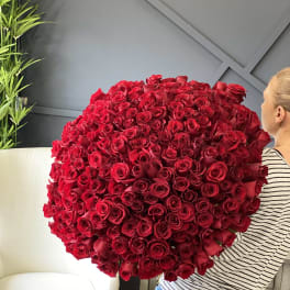 Large bouquet of red roses held by a person