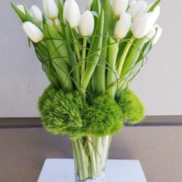 White tulips arranged in a clear vase with bright green pom-pom accents